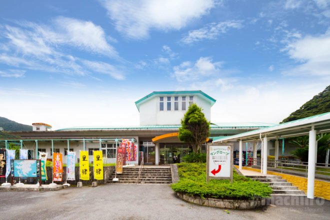 黒潮の森マングローブパーク 0001