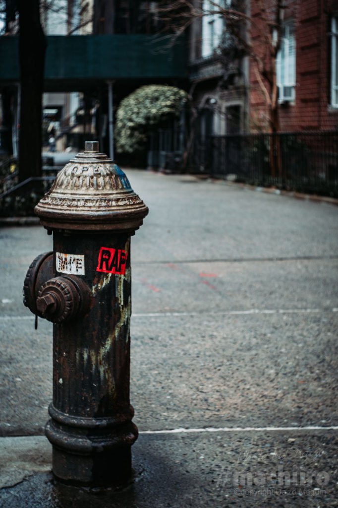 Nyc Machiiro 記事写真 26