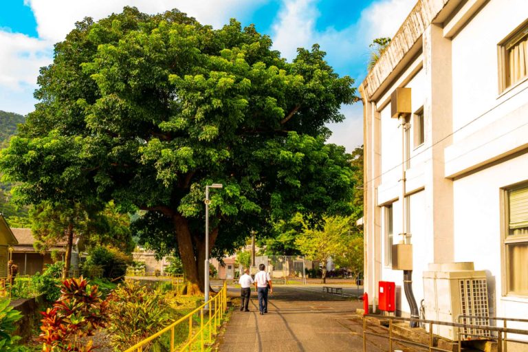 奄美和光園 ハンセン病 Machiiro奄美探訪 記事写真 46