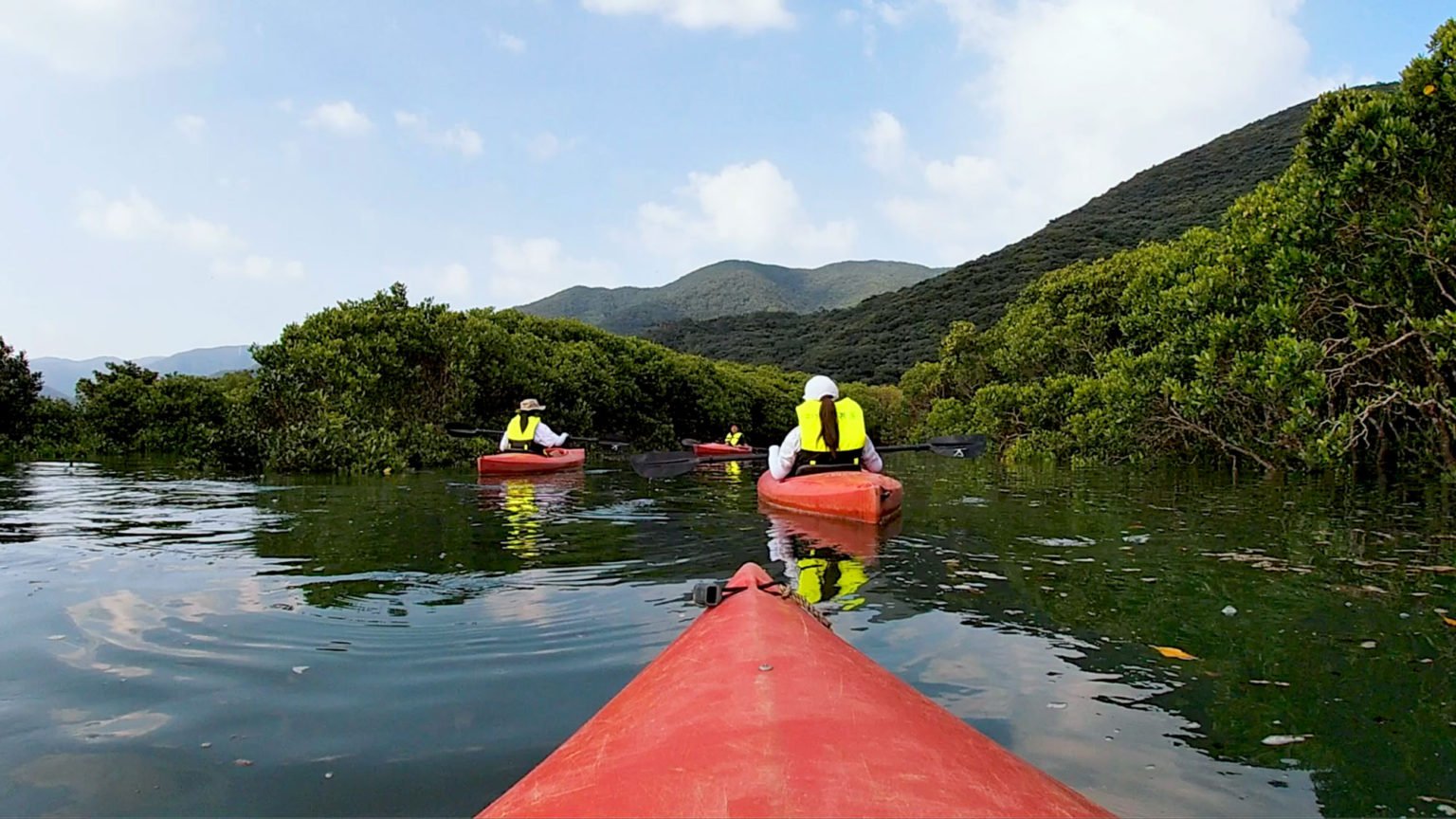 マングローブ原生林カヌー