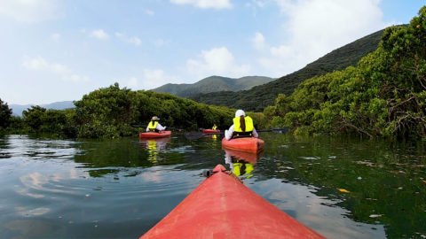 マングローブ原生林カヌー