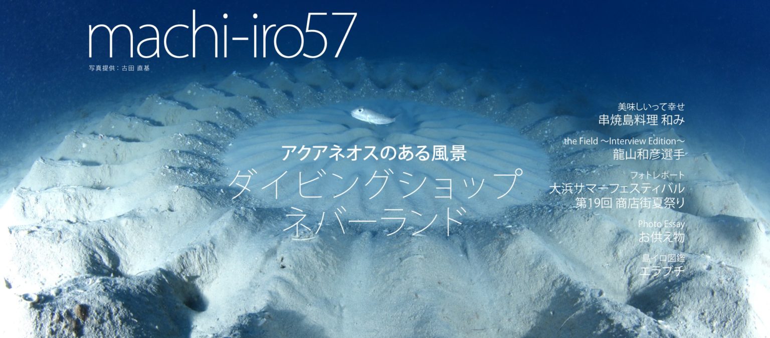 120201261 3783770444987687 4374527218056676193 O