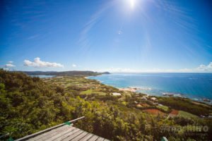 奄美探訪 16 Machiiro 記事写真 20