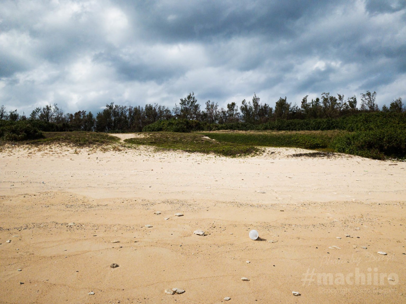 用海岸調査 Machiiro 記事写真 2