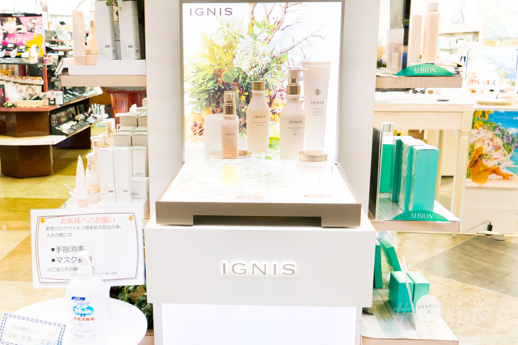 Aragaki Machiiro 記事写真 4