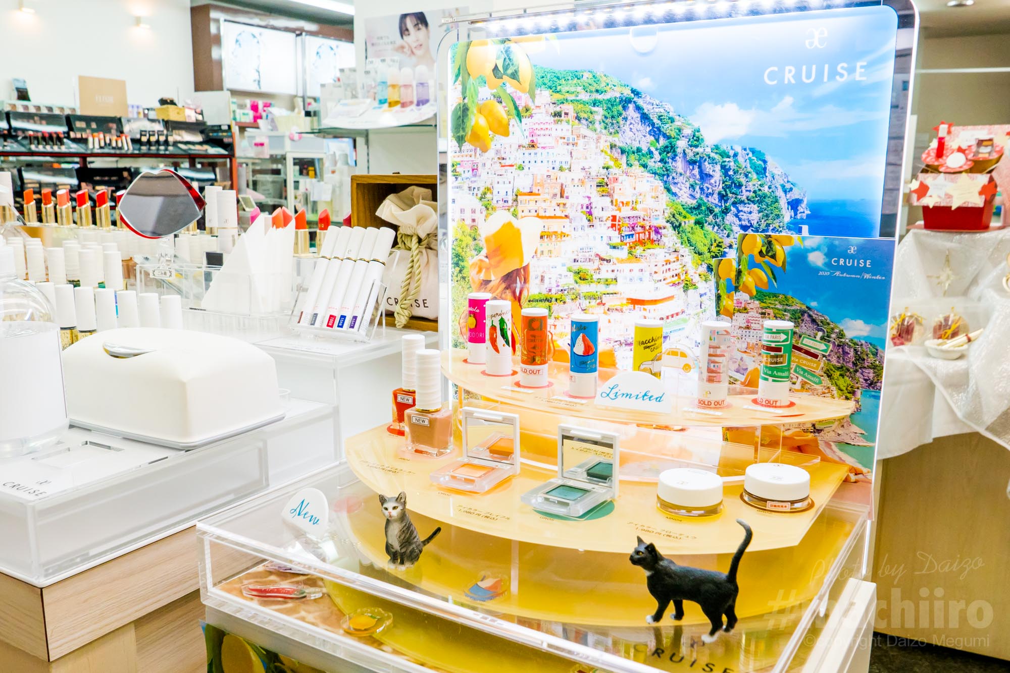 Aragaki Machiiro 記事写真 9