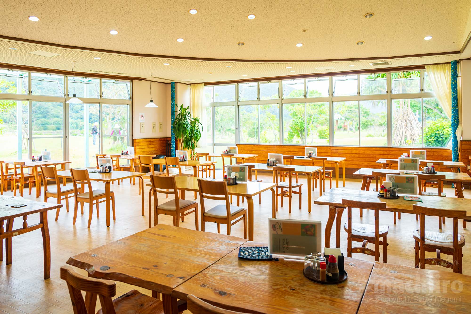 マングローブレストラン 奄美名店ドットコム 写真 9