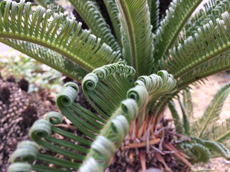 27145430 1673808022679917 892009963 O