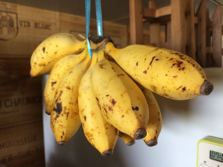 38703223 222155838469953 8486474172778676224 N