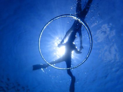 4 ネバーランドダイビング写真