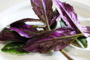 47578010 271073283602895 1914299612823289856 N