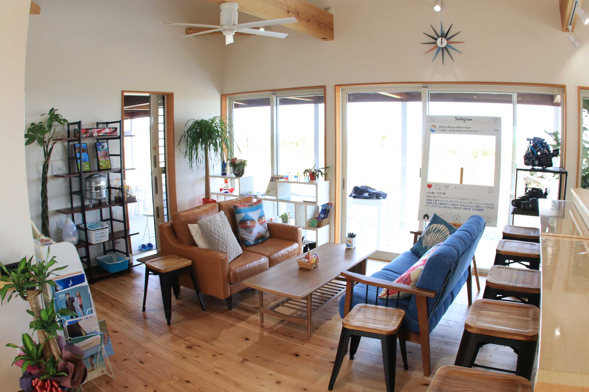 5 ネバーランドダイビング写真