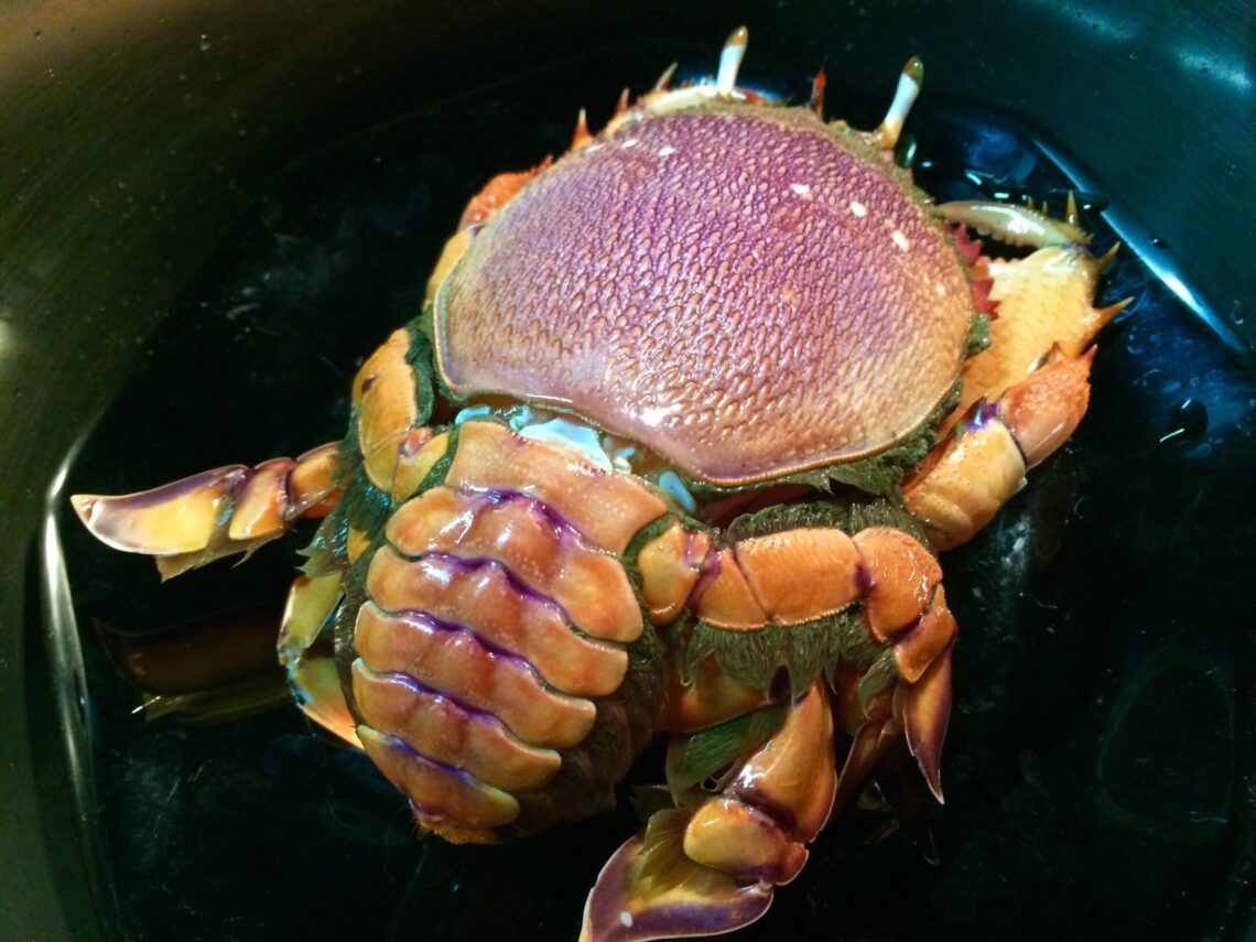 67357413 377659599601026 6601566859407917056 N