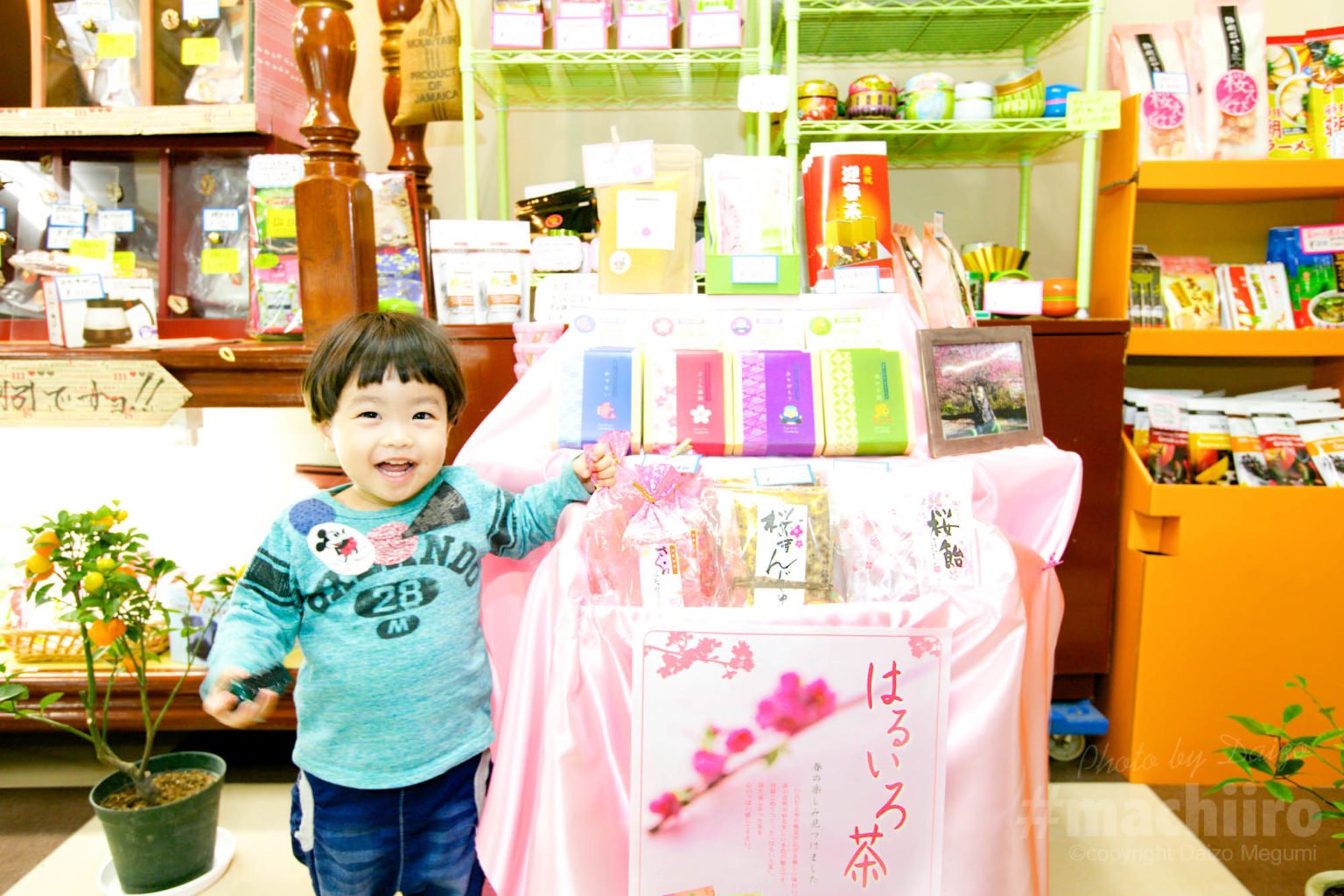 お茶の堀口園 Machiiro 記事写真 1