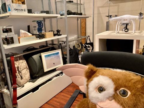 153289414 4205177592846968 1865311506420181856 o