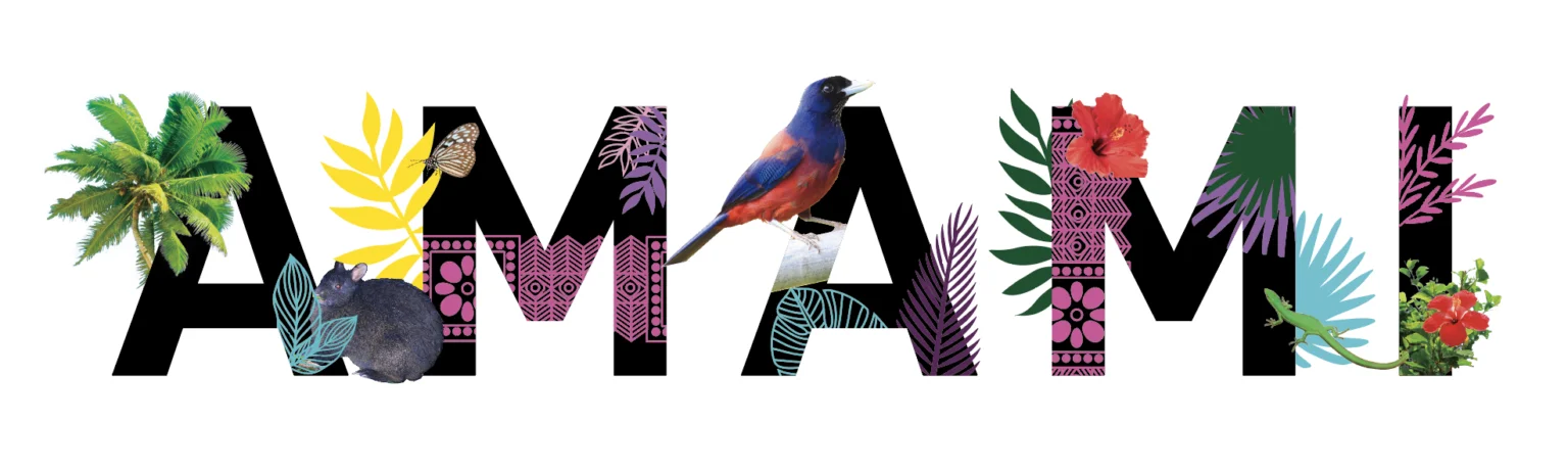 amamiの文字にあしらわれたデザイン