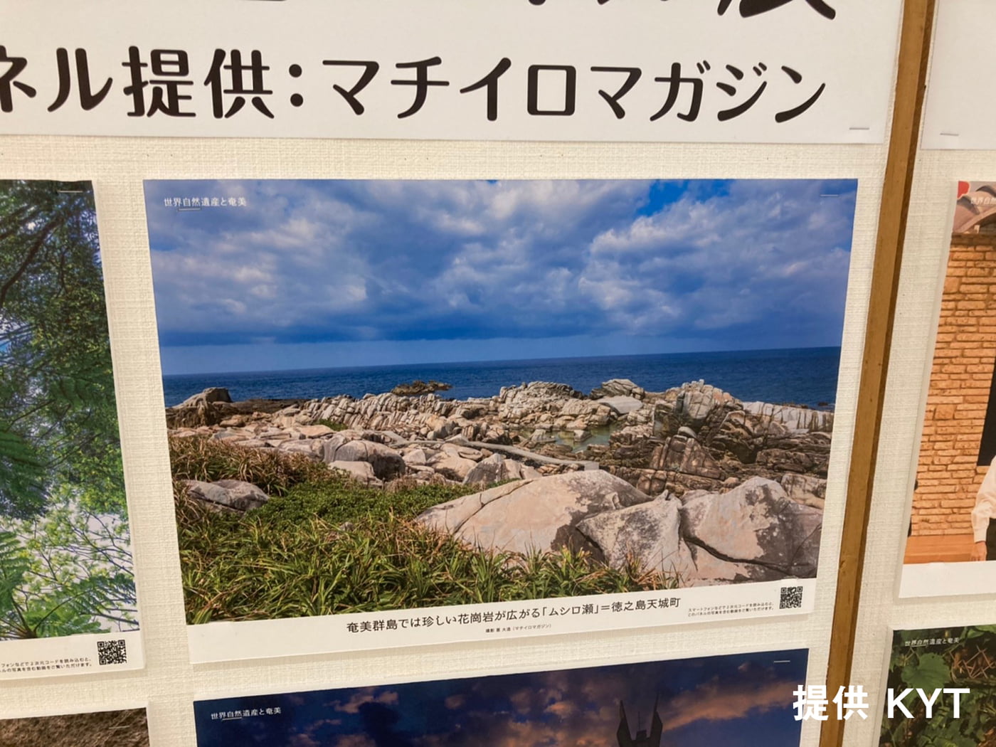 24時間テレビ 44 「奄美大島・徳之島」世界自然遺産登録記念パネル展の模様