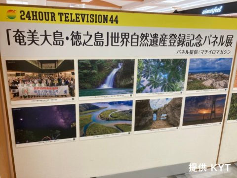 24時間テレビ 44 「奄美大島・徳之島」世界自然遺産登録記念パネル展の模様