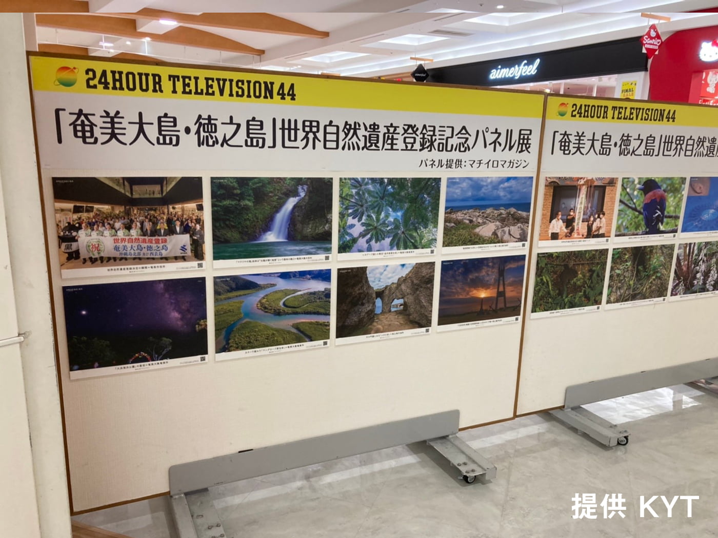 24時間テレビ 44 「奄美大島・徳之島」世界自然遺産登録記念パネル展の模様