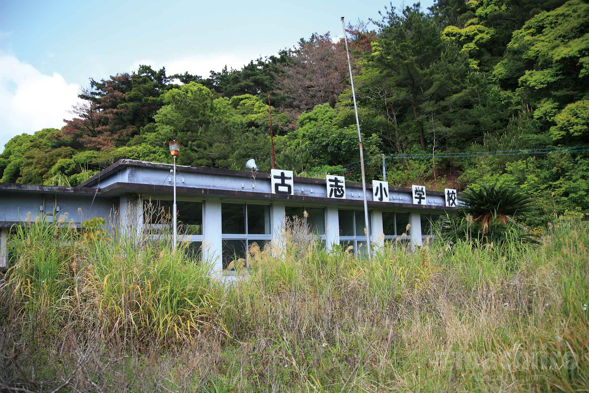 奄美探訪 西古見集落 machiiro 記事写真 2