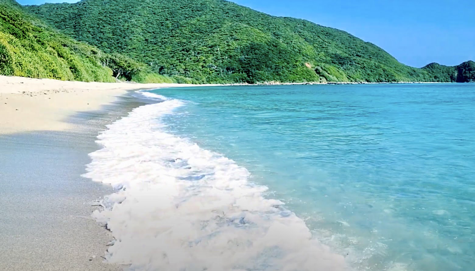 スクリーンショット 2021 11 22 19.11.27