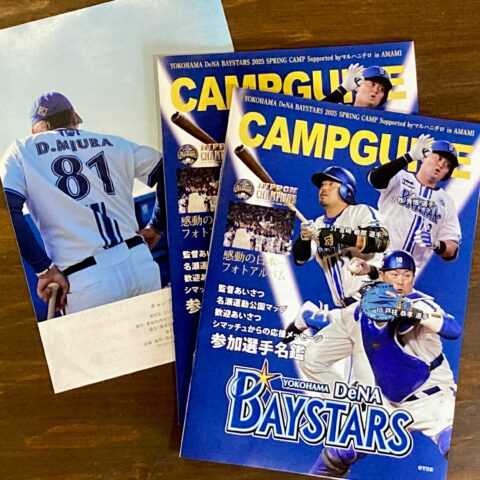 横浜DeNAベイスターズ 2025 SPRING CAMP Supported byマルハニチロ in AMAMI